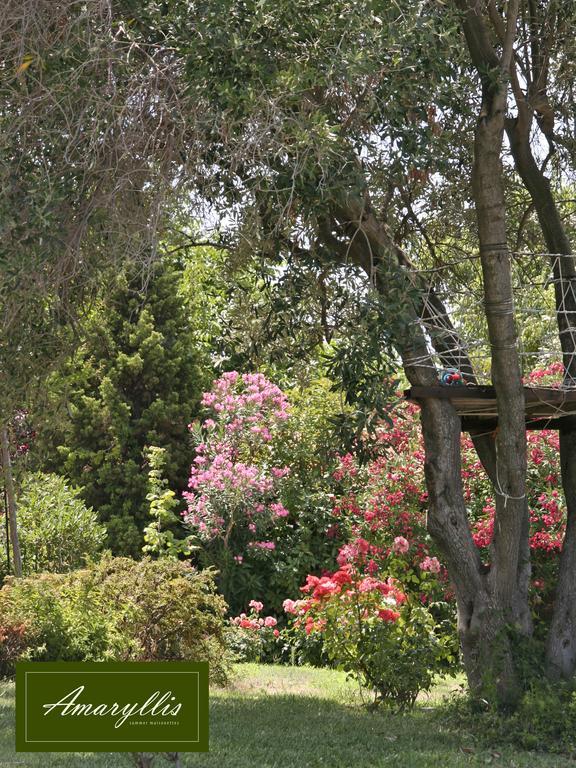 פוסידי Amaryllis Summer Maisonettes חדר תמונה